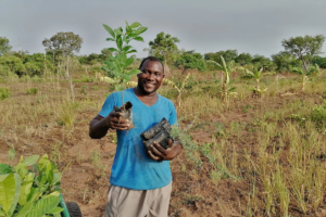 Click A Tree Holistically Sustainable Reforestation Made Simple Ghana 01