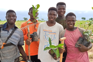Click A Tree Holistically Sustainable Reforestation Made Simple Ghana 03